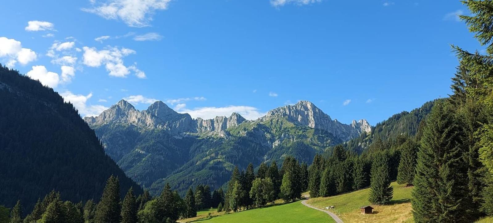Ferienhaus Alpenglueck Gaicht ภายนอก รูปภาพ